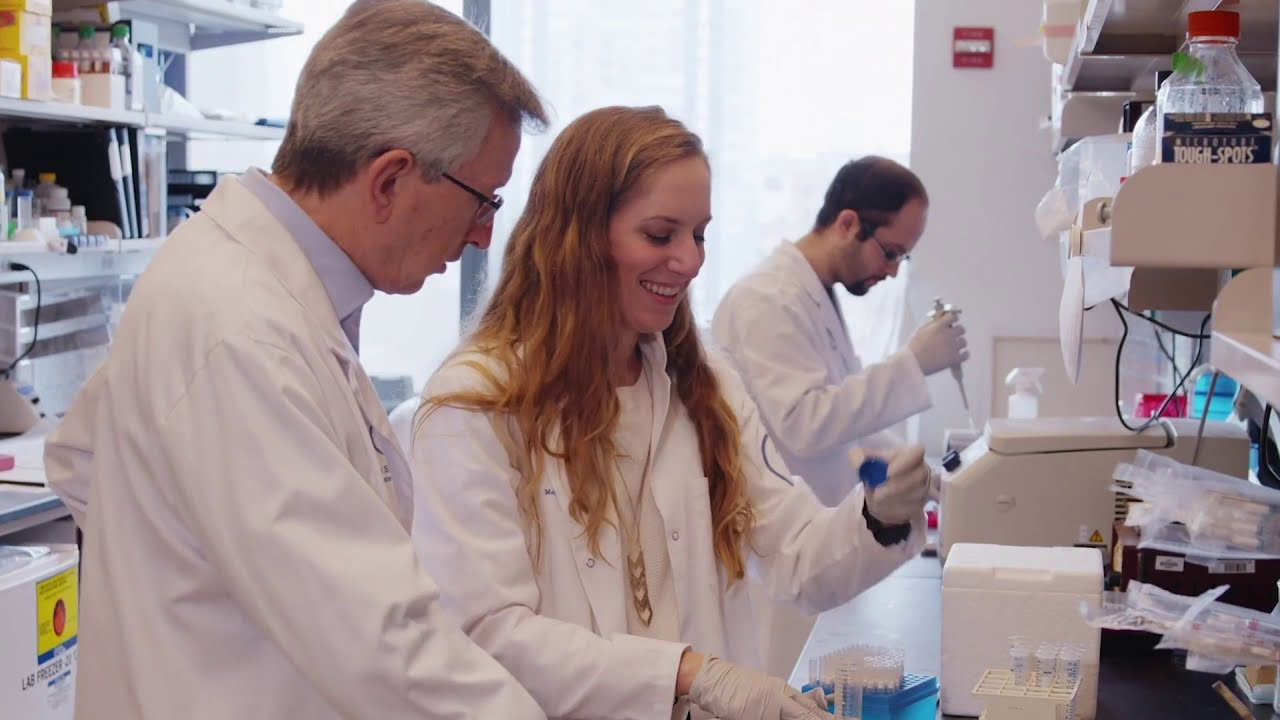 Colleagues in a laboratory setting