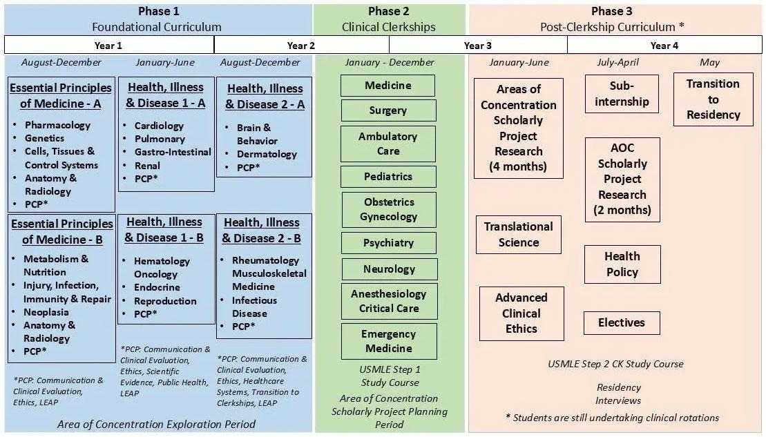 curriculum overview